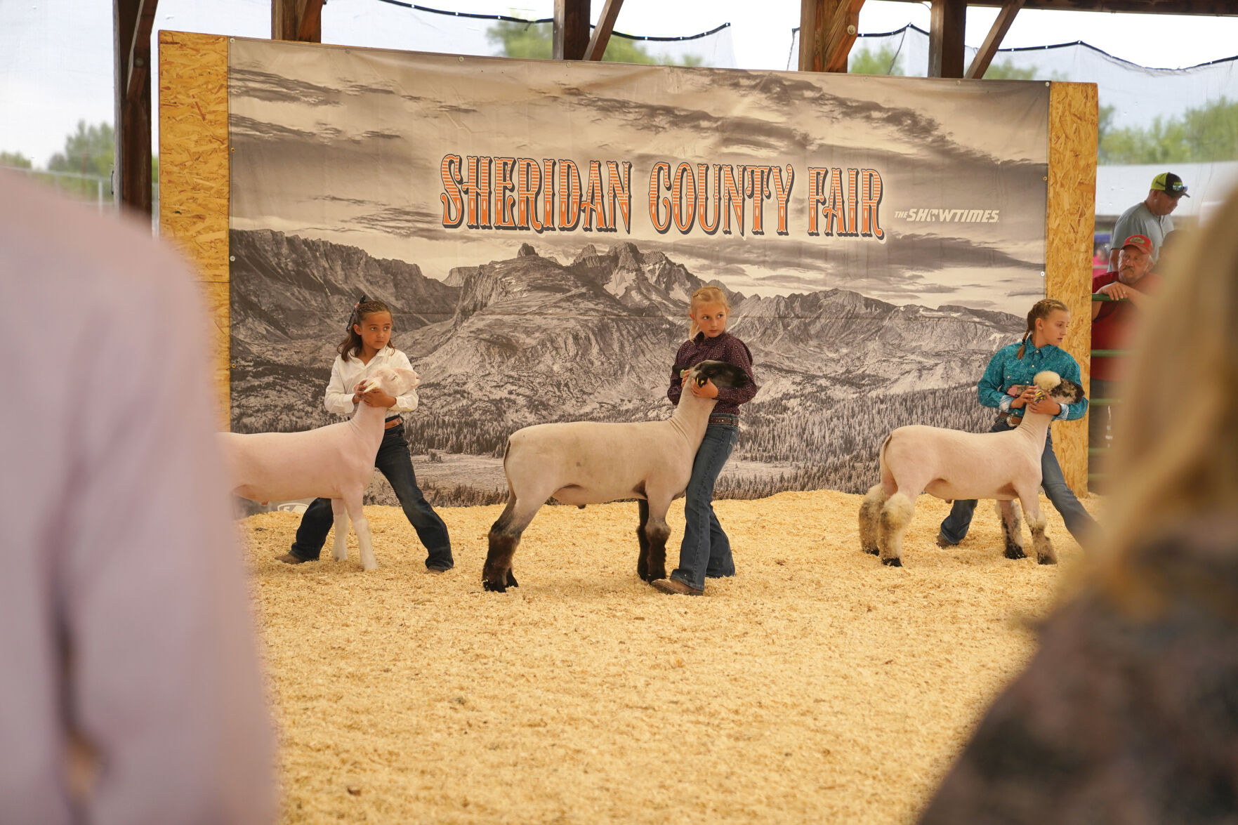 Sheep Show Standalones 004.jpg